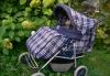 Польская коляска Deltim + подарок игрушка превью 1429236.