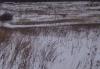 Превью Земельный участок, ижс, газ, вода, свет Кольчугино - 1