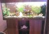 Аквариум juwel на 240л.со всем содержимым превью 1438116 Аквариум juwel на 240л.со всем содержимым превью 1438116.