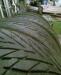 Превью Шины toyo proxes S/T 255/60R17 Москва - 1