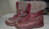 Превью Даром Зимние сапожки Котофей Москва - 0