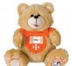 Превью Игрушка "iTeddy Москва - 0