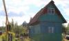 Дача в СНТ Дружба с участком площадью 6 соток превью 1452704.