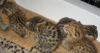 Превью Очаровательны Саванна котята Казань - 1