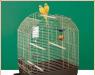 Клетка Ferplast Greta (золото) превью 1482402 Клетка Ferplast Greta (золото) превью 1482402.