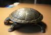 Старинная заводная черепашка превью 1482677.