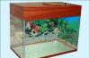 Аквариумы на 55 литров превью 1480918 Аквариумы на 55 литров превью 1480918.