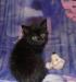 Черные котята 1,5 мес. почти даром превью 1496239.