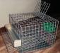 Клетка для перепелов на 10 штук превью 1050602.