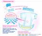 Подгузники Merries размер S (80+2 шт.) превью 1521028.