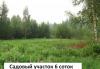 Превью 6соток.Река.Лес.125кмДмитр.ш Москва - 2