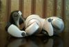Превью Aibo ERS-7 mind 3 Москва - 1