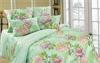 Превью Комплекты постельного белья Санкт-Петербург - 4