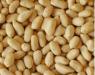 Превью Прямые поставки   арахис  из Аргентины Москва - 2
