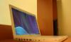 Превью MacBook 3.1 White Core Duo 13" Москва - 2