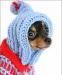 Одежда для чихуахуа и других маленьких собак превью 1558741.