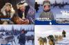 Превью Видовые открытки различных городов и стран Санкт-Петербург - 1