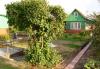 Превью Продаю участок с домом Ногинск - 3