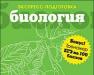 Превью Школьные программы для 9-11 классов Москва - 3