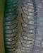 Колеса Pirelli Winter Carving 205/55 R16 превью 1571415.