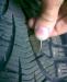 Превью Колеса Pirelli Winter Carving 205/55 R16 Москва - 1