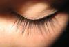 Наращивание ресниц+SPA+парикмахерские услуги превью 1063130.
