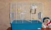 Продам клетку для попугайчиков превью 1600711 Продам клетку для попугайчиков превью 1600711.