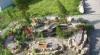 Превью Мини-агроферма с двумя постройками в Приозер.р-не Санкт-Петербург - 2