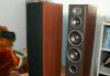 Превью Акустика JBL E80 Northrige Москва - 2