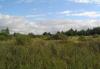 Превью 12 соток ижс, 1,5 км от Красного Села Санкт-Петербург - 1