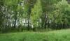 Превью Участок Москва - 1