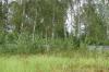 Превью Прекрасный участок в Мелихово, 15 соток Чехов - 1