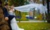 Превью Pronovias свадебное платье, болеро и фата Краснодар - 1