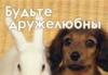 Куплю крепкий дом в хорошем состоянии превью 1074609.