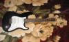 Fender MIM Stratocaster Black H-S-S превью 1081060.