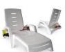 Шезлонг на колесах, с ящиком превью 1091800.