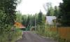 Превью Продаю лесной участок, Минское - Можайское ш Голицино - 2